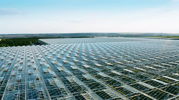 Aerial Top View of Venlo or Dutch Greenhouse Plant alt
