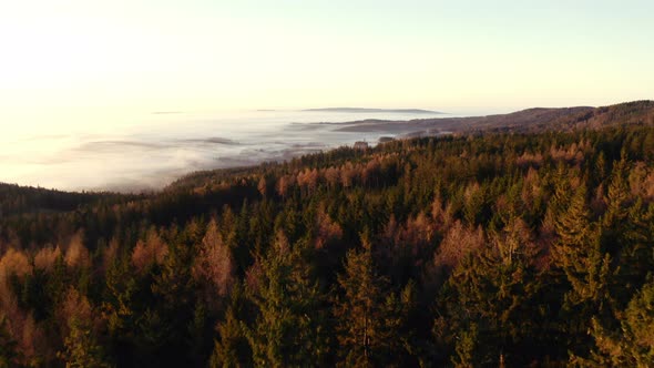 Epic aerial of a landscape in Germany on a foggy autumn morning over a forest with at sunrise