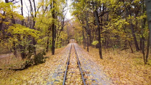 Railway line in vivid yellow leaves, autumn forest