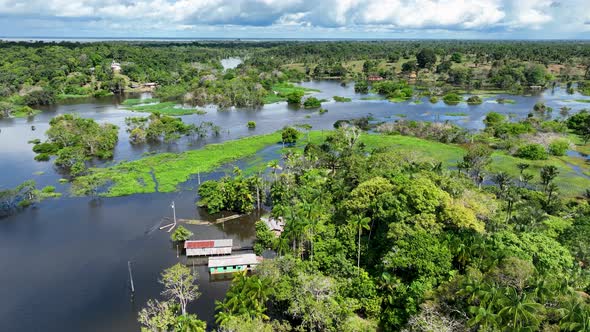 Stunning landscape of Amazon Forest at Amazonas State Brazil. alt