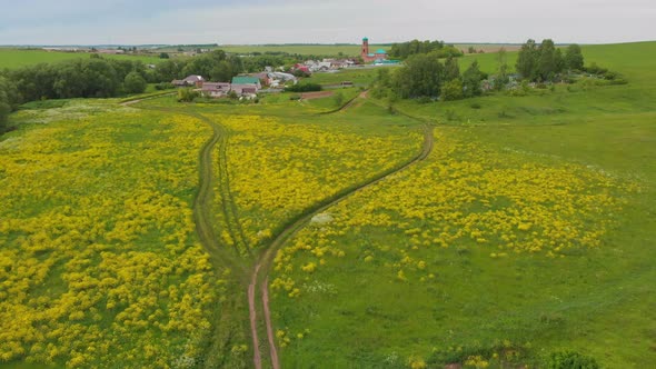 Green Open Field with Yellow Plants and Small Village alt