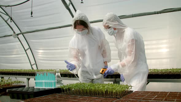 Farmers Tending Growing Crops in Greenhouse