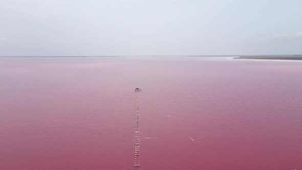 Woman Is Sunbathing in a Striped Bathing Suit alt