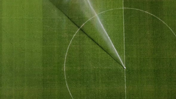 Watering Football Field Before Professional Football Game Lawn Care Irrigation of Grass Before alt