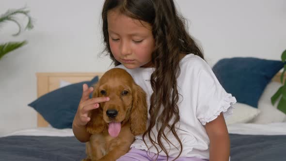 Little cute hispanic girl playing on bed and having fun with cocker spaniel puppy and kiss alt