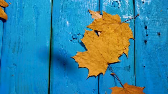 Yellow Leaves Fall On A Wooden Vintage Table. Autumn Background With Beautiful Falling Foliage alt