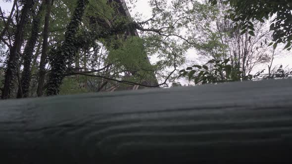 san michele bridge in paderno calusco adda bergamo italy.the bridge is now closed for the next 2 yea alt