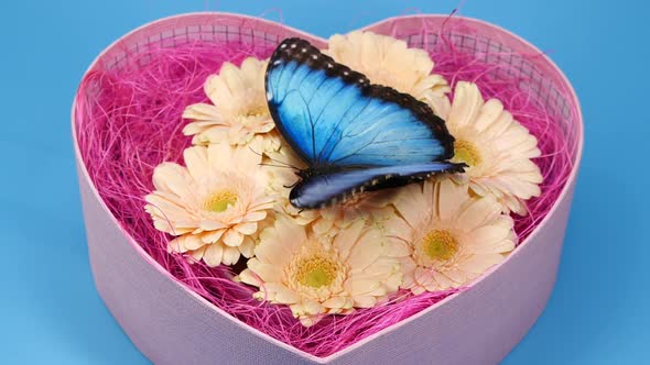 Blue Butterfly on Pink Color Flower in Heart Shape Box Valentines Day Design alt
