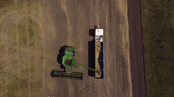 Unloading the Crop From the Combine Hopper