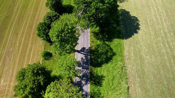 Aerial drone backward moving shot of countryside road surrounded by green trees on both side between alt