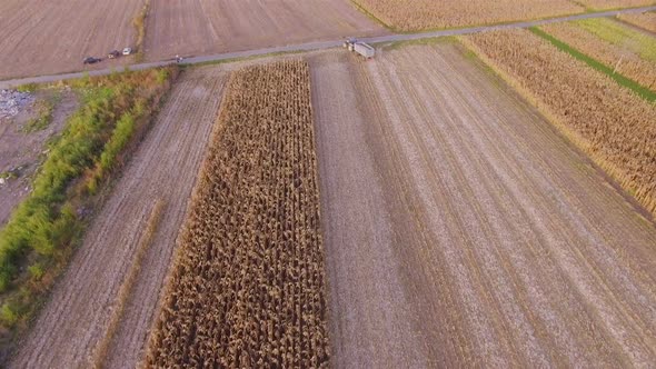 Agriculture Aerial Harvester in Field alt