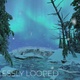 Northern Lights Above Winter Forest River - VideoHive Item for Sale