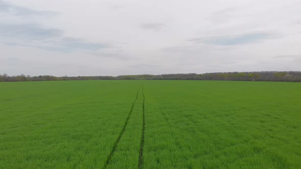 Aerial Trail Green Field alt