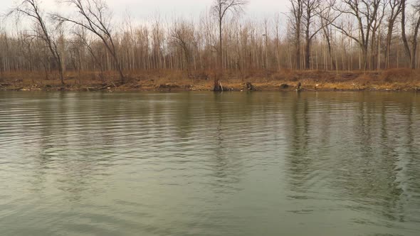 Beautiful scenic 4k video of the river with forest in the background. alt