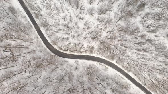 Road and forest by the winter day 4K drone video alt