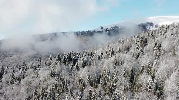 4K Drone flying over snowy mountain forest  