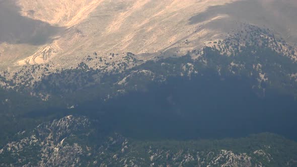 Topographic Timberline Layers on Forested High Mountain alt