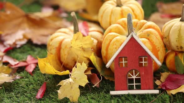 Halloween seasonal pumpkin and wooden toy house with leaves on green grass