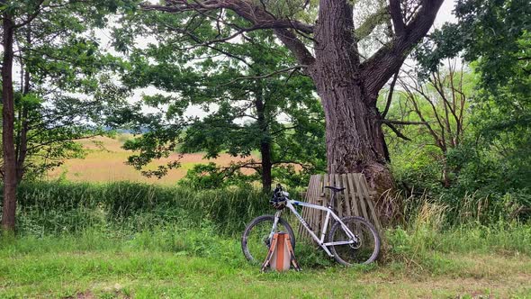 Sports mountain bike standing in nature. The biker took a break. Old oak in the background. alt