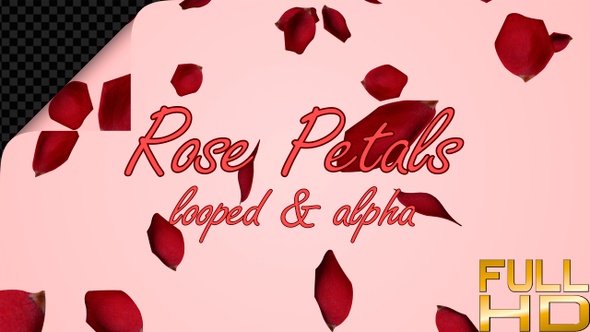 Rose Petals