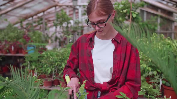 Girl in Red Shirt Transplants Flowers in Greenhouse Works Tools