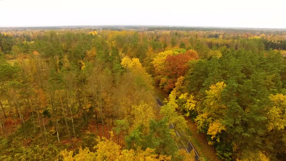 Aerial view of the road through the forest in autumn alt