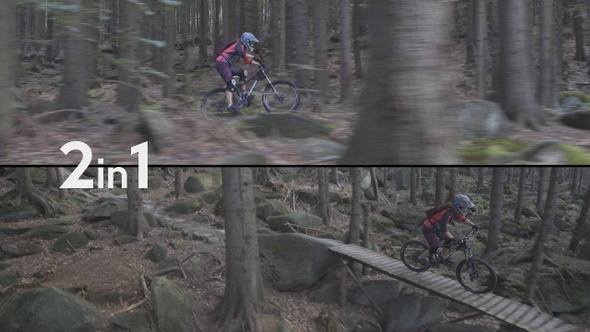 Fast Bike In The Forest