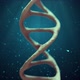 Biology of DNA Loop - VideoHive Item for Sale