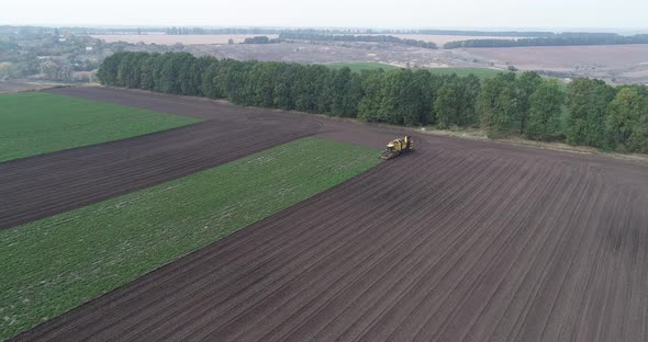 Special Agricultural Machinery Collects Beet on the Field