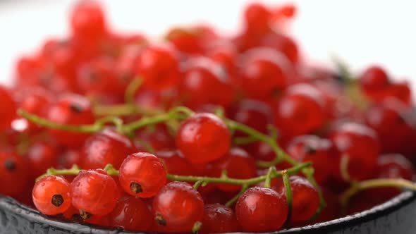 Background with Fresh and Sweet Red Currant