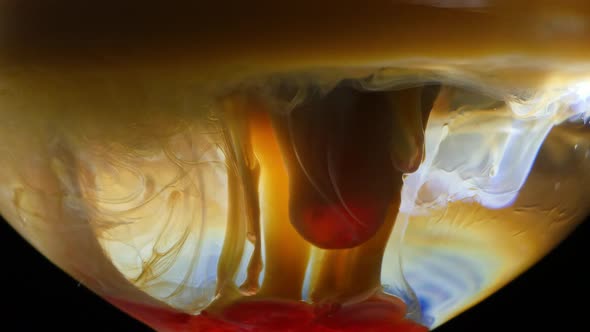 Super Slow Motion Close Up View of Pouring Jellyfish Colorful Cocktail in Glass with Tentacles and