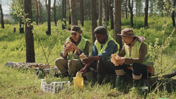 Gardeners Having Lunch in Forest alt