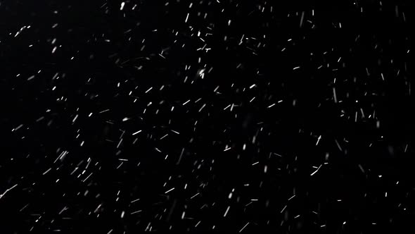 Snow Falling on Black Background