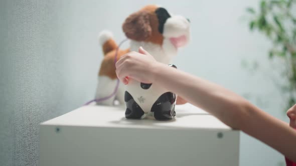 Child Takes Full Piggy Bank in Form of Panda From Rack alt