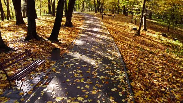 Aerial drone view of a flying in the autumn park. Autumn leaves on a park path. alt
