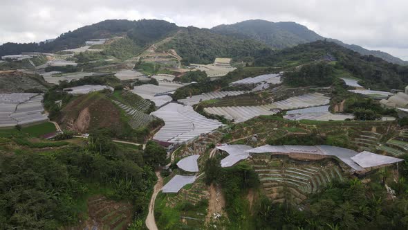 Cameron Highlands, Pahang Malaysia alt