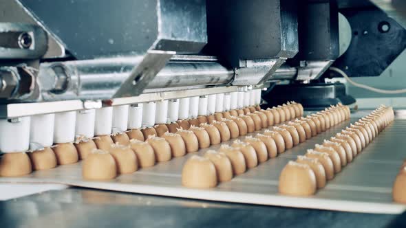 Confectionery Machine is Producing Candies and Transporting Them alt
