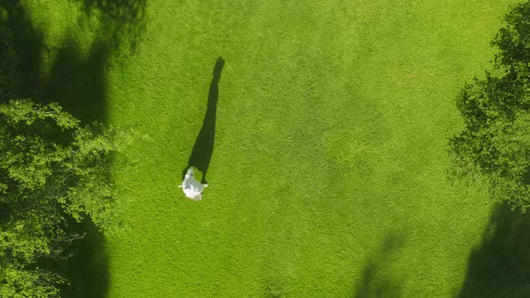 Overhead Aerial of Female Shadow Silhouette in Park on Grass at Sunset RED Shot alt