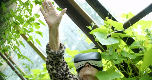 a Pensioner is Watching a 3D Video with VR Glasses Against the Background of a Greenhouse alt