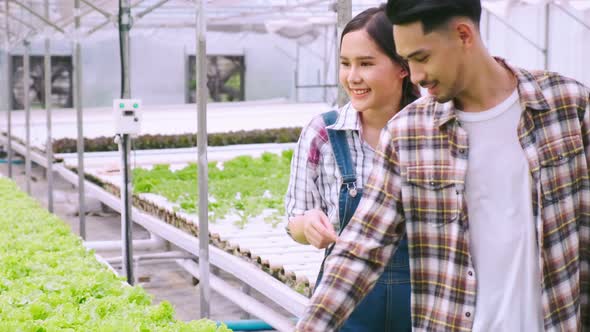 4k slow handheld asian couple farmer takecare and discuss how to growth plant in hydroponic farm alt