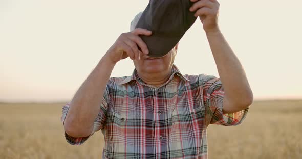 Smiling Senior Farmer Posing Surrounded By Golden Wheat Meadow Looking at Camera at Sunset alt