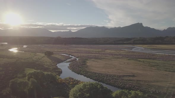 New Zealand landscape alt