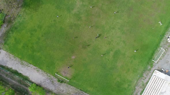 Football Players Training on Soccer Field in Spring