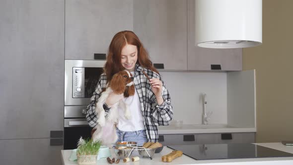 A Young Woman Feeds Her Spaniel While Holding It in Her Arms in the Kitchen She Gives the Dog Treats