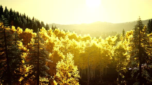 Bright Sunset in the Mountains alt