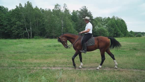 Cowboy in a Hat Rides a Horse in a Clearing Near the Forest, Walk on Horseback, Man Moves on a Horse alt