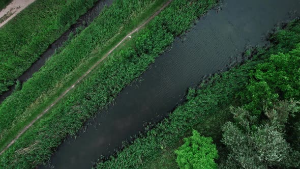 Top Down Aerial Footage of the Small River in the National Park