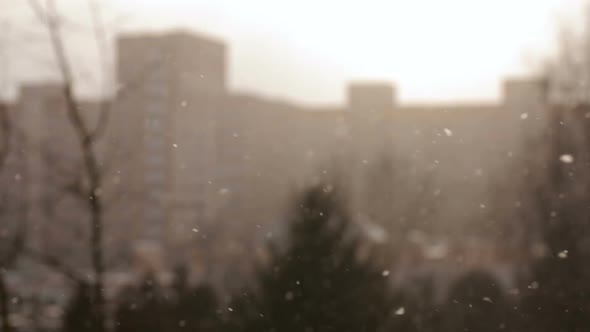 Snowfall in the City With Buildings on Blurred Background.