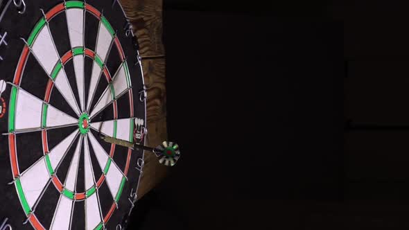 darts game in detail alt