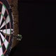 darts game in detail - VideoHive Item for Sale